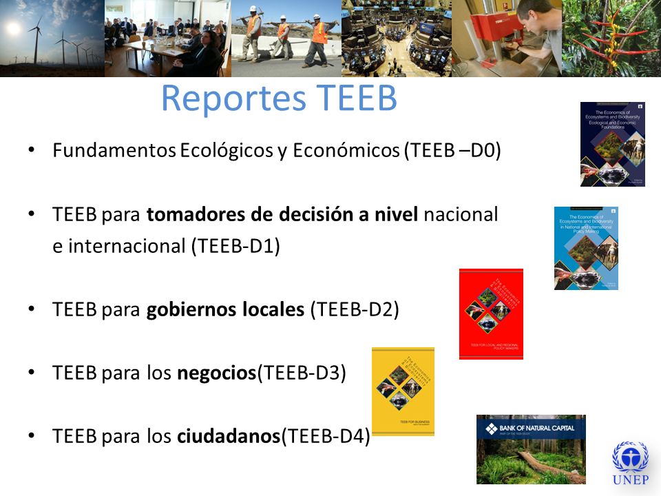 Reportes TEEB Fundamentos Ecológicos y Económicos (TEEB –D0)