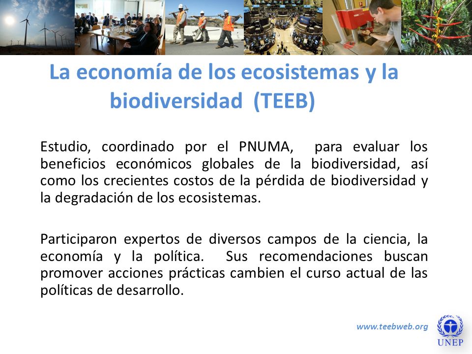 La economía de los ecosistemas y la biodiversidad (TEEB)