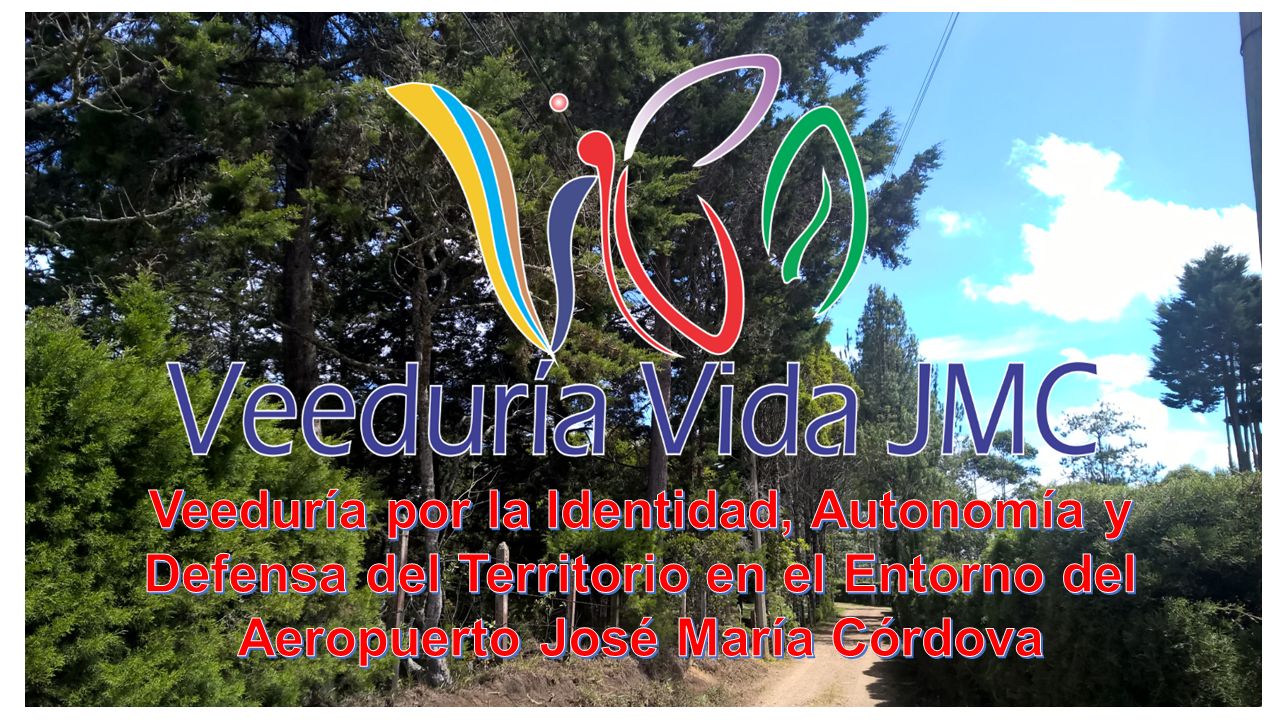 Veeduría por la Identidad, Autonomía y Defensa del Territorio en el Entorno del Aeropuerto José María Córdova