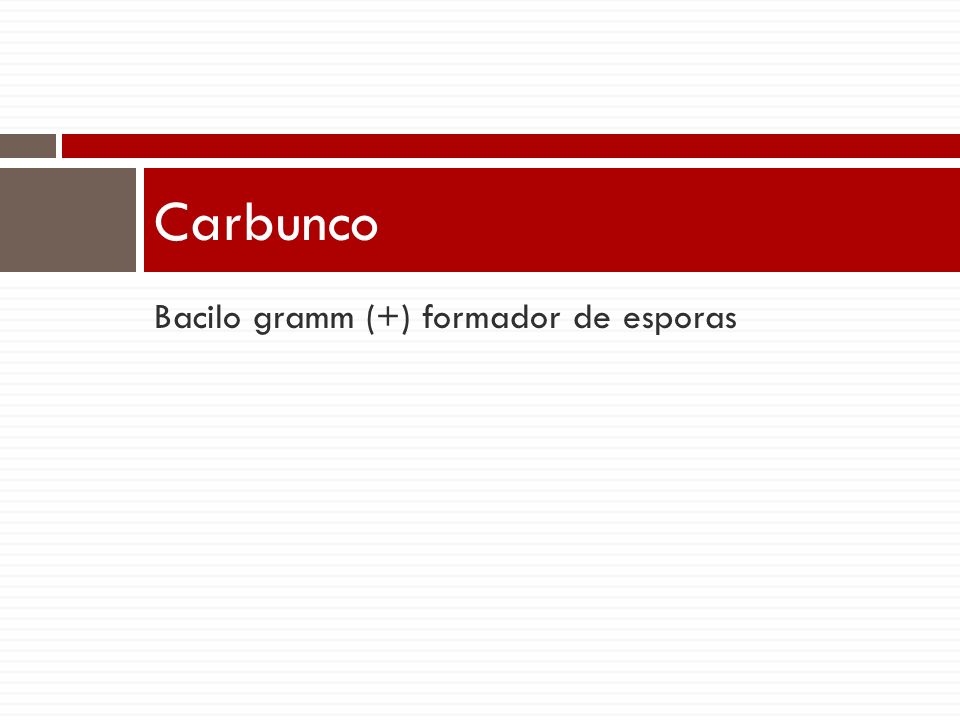 Carbunco Bacilo gramm (+) formador de esporas