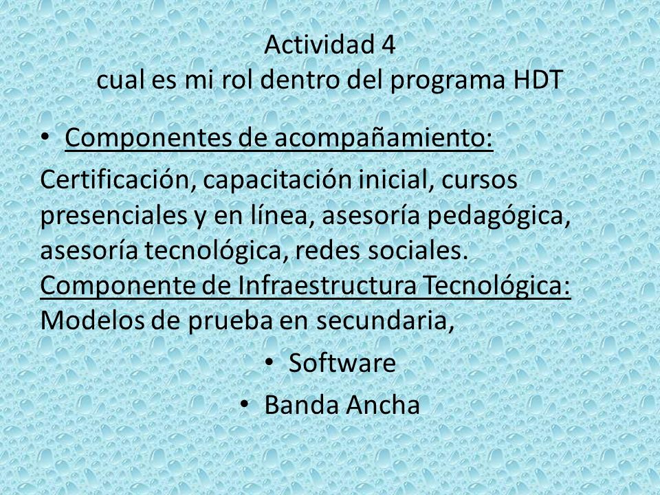 Actividad 4 cual es mi rol dentro del programa HDT