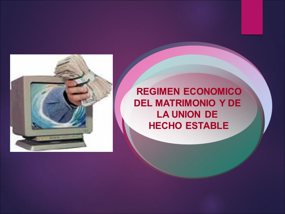 REGIMEN ECONOMICO DEL MATRIMONIO Y DE LA UNION DE HECHO ESTABLE