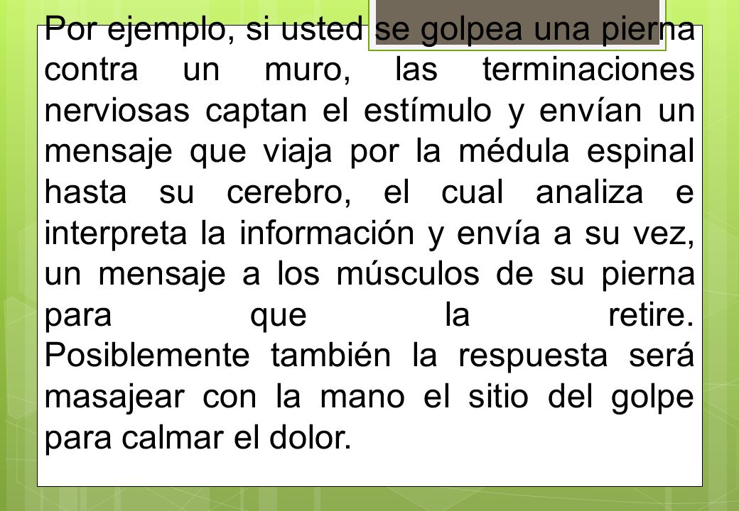 Por ejemplo, si usted se golpea una pierna contra un muro, las terminaciones nerviosas captan el estímulo y envían un mensaje que viaja por la médula espinal hasta su cerebro, el cual analiza e interpreta la información y envía a su vez, un mensaje a los músculos de su pierna para que la retire.