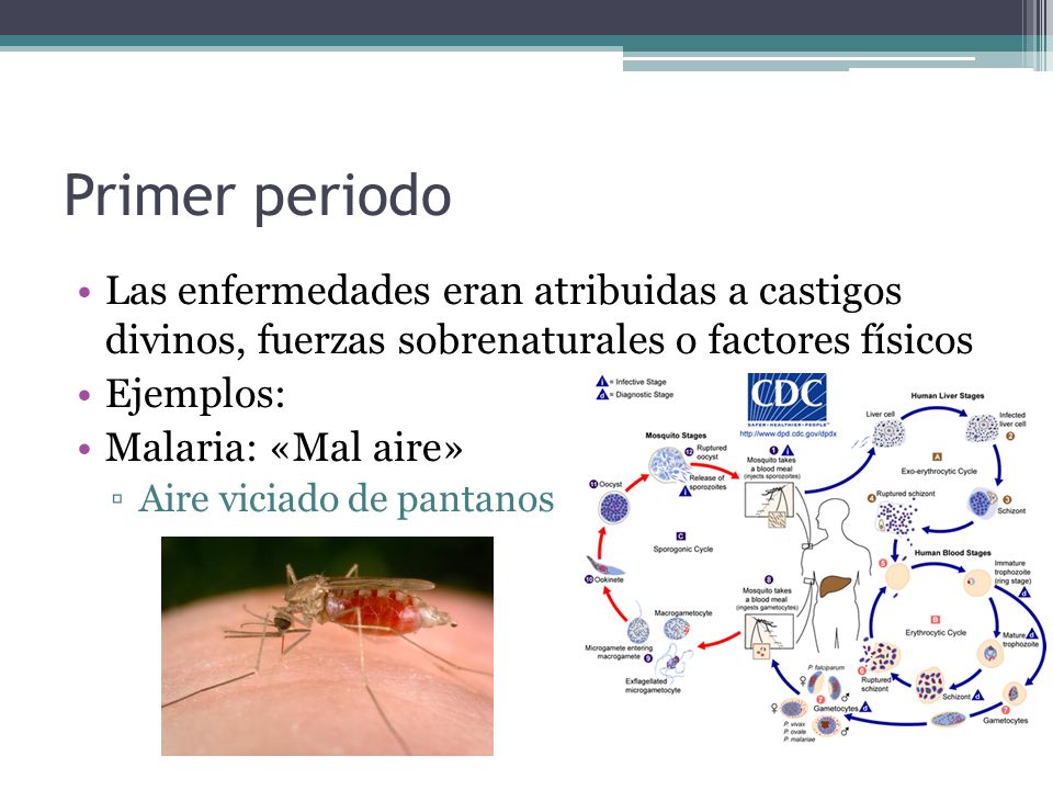 Primer periodo Las enfermedades eran atribuidas a castigos divinos, fuerzas sobrenaturales o factores físicos.