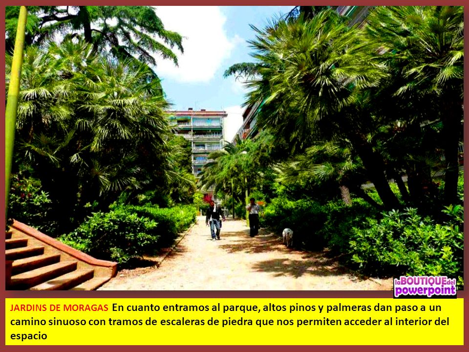 JARDINS DE MORAGAS En cuanto entramos al parque, altos pinos y palmeras dan paso a un camino sinuoso con tramos de escaleras de piedra que nos permiten acceder al interior del espacio