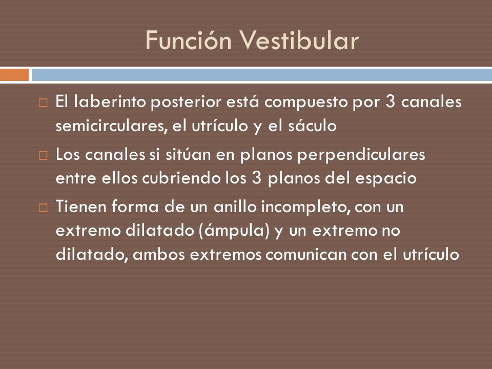 Función Vestibular El laberinto posterior está compuesto por 3 canales semicirculares, el utrículo y el sáculo.