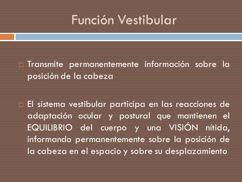 Función Vestibular Transmite permanentemente información sobre la posición de la cabeza.