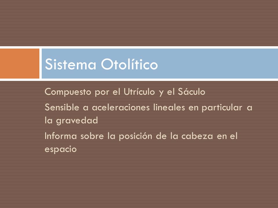 Sistema Otolítico Compuesto por el Utrículo y el Sáculo