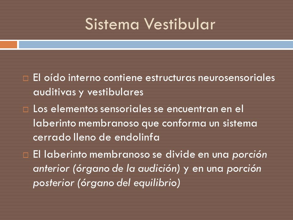 Sistema Vestibular El oído interno contiene estructuras neurosensoriales auditivas y vestibulares.