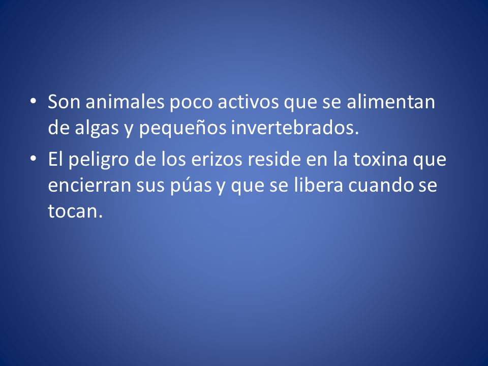 Son animales poco activos que se alimentan de algas y pequeños invertebrados.