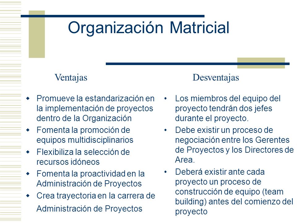 Organización Matricial