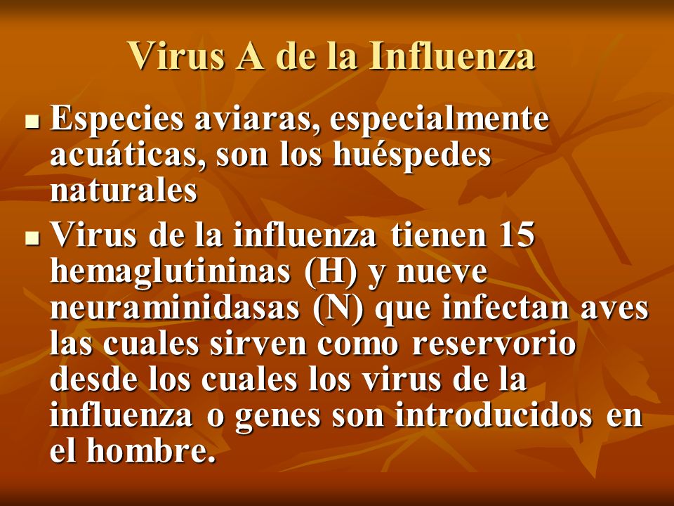 Virus A de la Influenza Especies aviaras, especialmente acuáticas, son los huéspedes naturales.