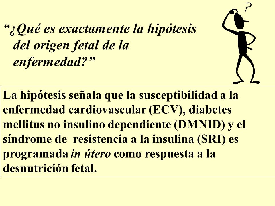 ¿Qué es exactamente la hipótesis del origen fetal de la enfermedad