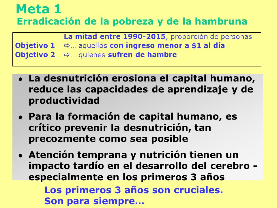 Meta 1 Erradicación de la pobreza y de la hambruna
