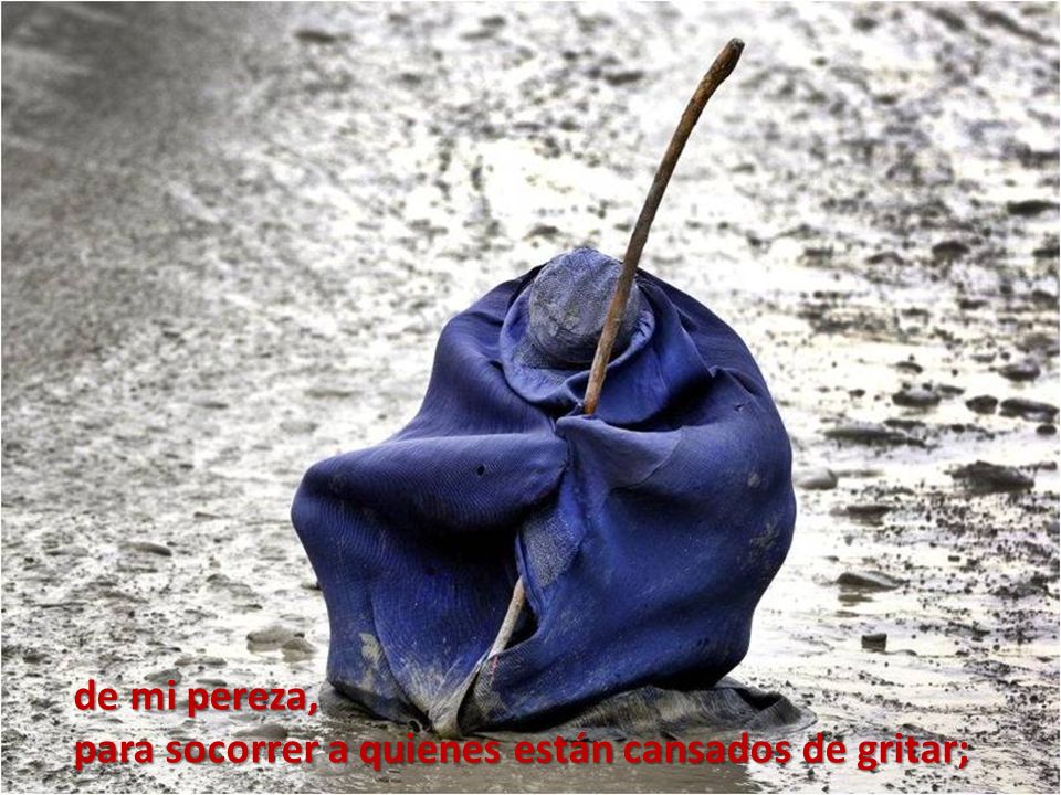 de mi pereza, para socorrer a quienes están cansados de gritar;