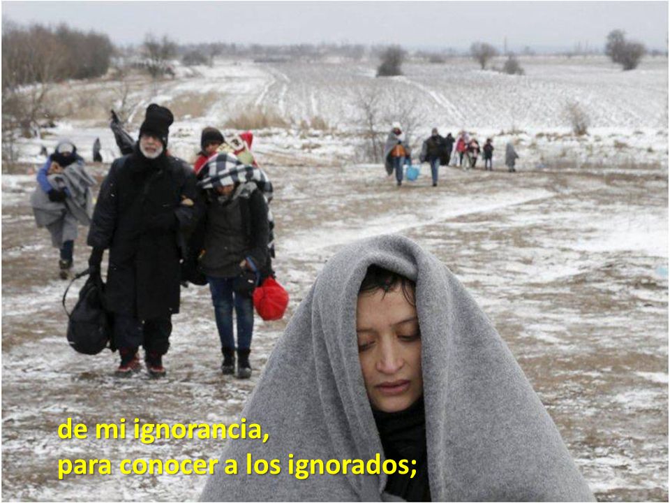 de mi ignorancia, para conocer a los ignorados;