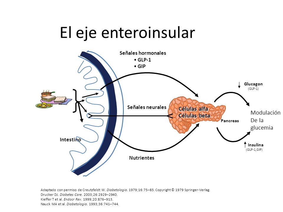 El eje enteroinsular References: