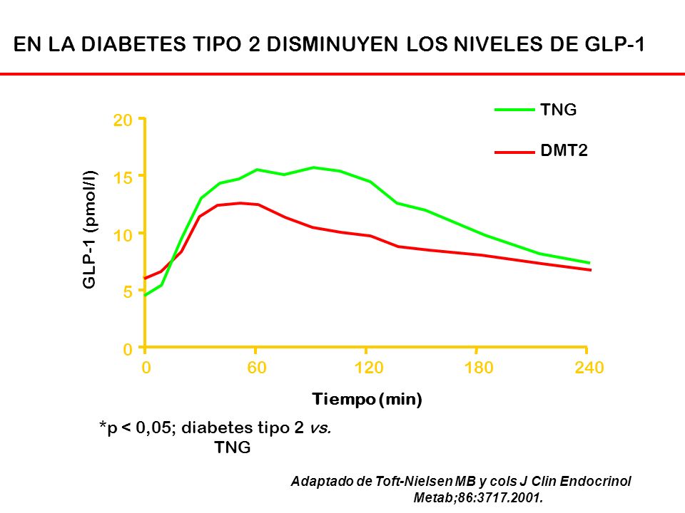 EN LA DIABETES TIPO 2 DISMINUYEN LOS NIVELES DE GLP-1