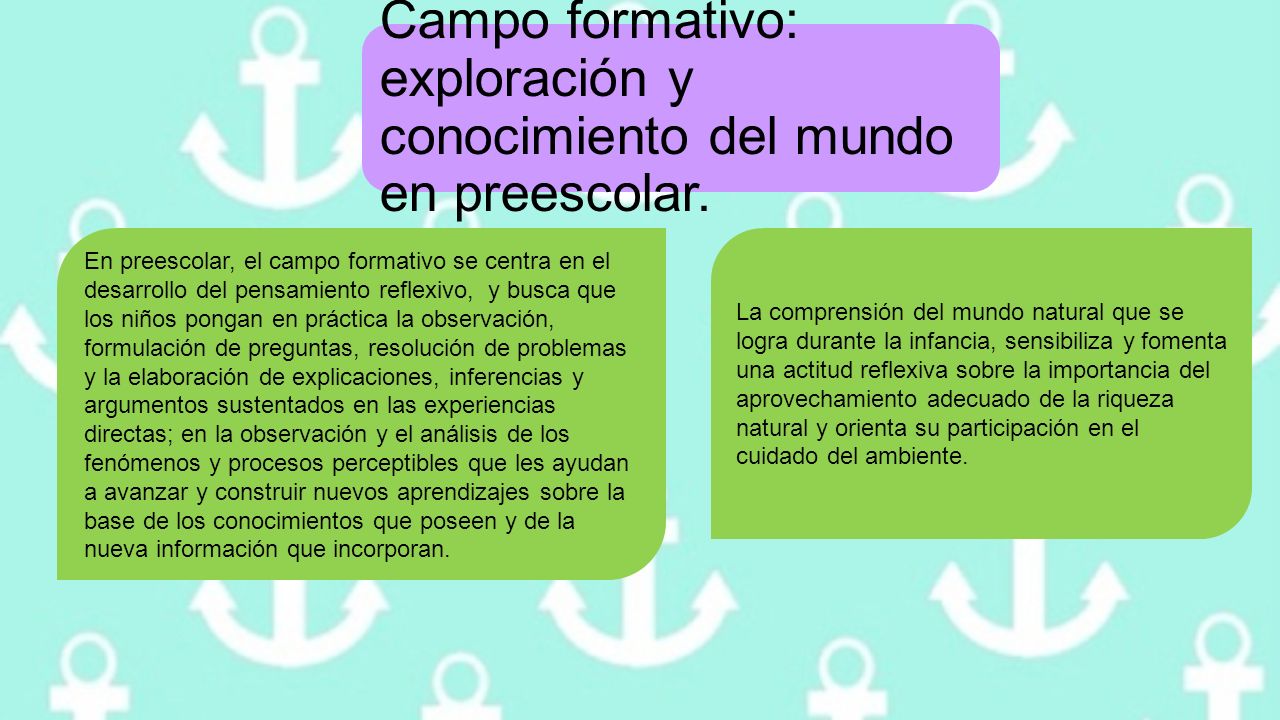 Campo formativo: exploración y conocimiento del mundo en preescolar.