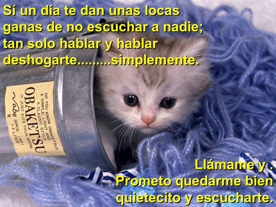 Sí un día te dan unas locas ganas de no escuchar a nadie; tan solo hablar y hablar deshogarte simplemente.