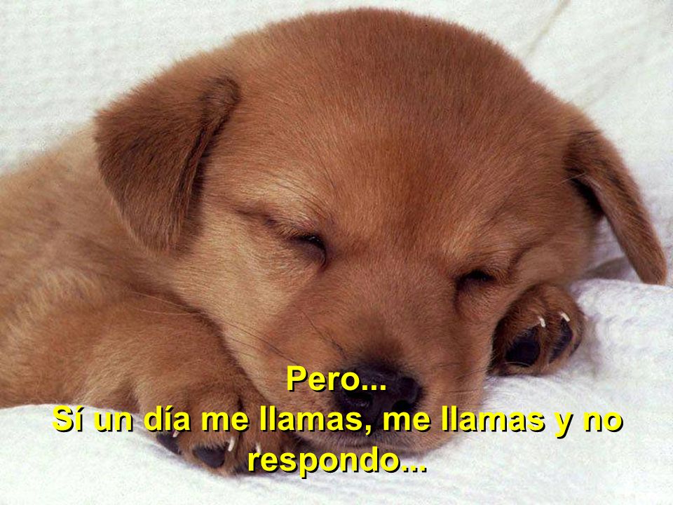 Sí un día me llamas, me llamas y no respondo...