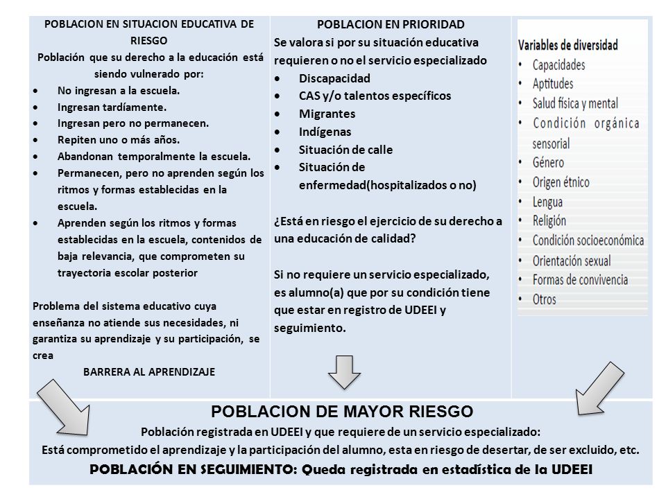 POBLACIÓN EN SEGUIMIENTO: Queda registrada en estadística de la UDEEI