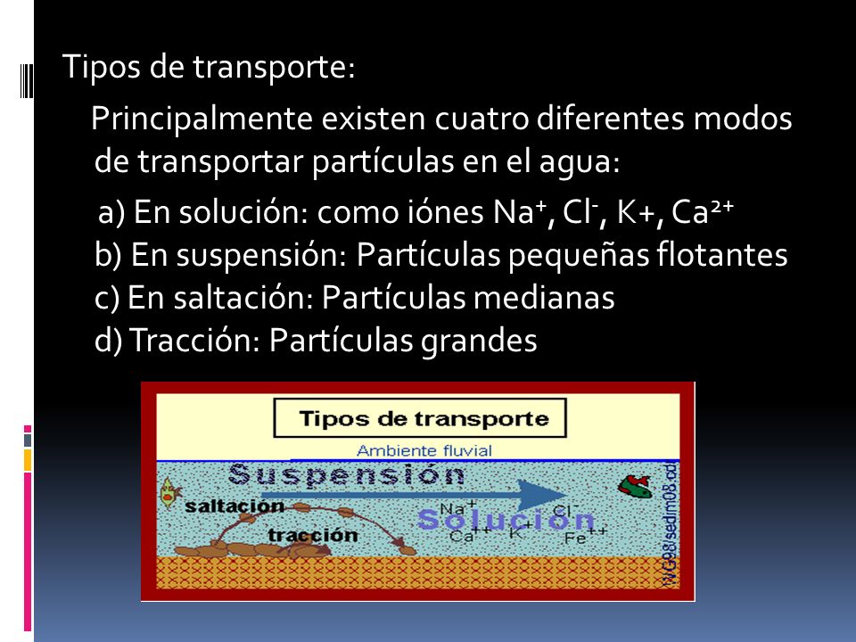 Tipos de transporte: Principalmente existen cuatro diferentes modos de transportar partículas en el agua:
