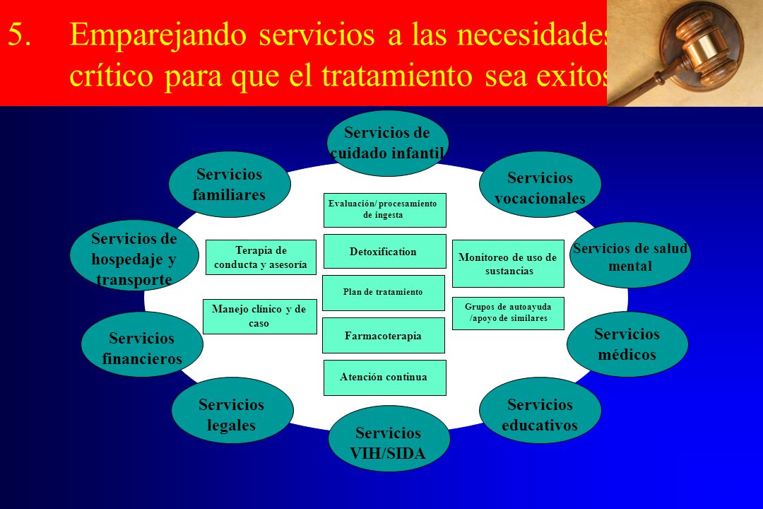 Emparejando servicios a las necesidades es crítico para que el tratamiento sea exitoso.