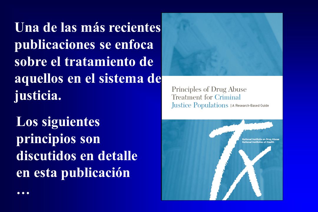 Una de las más recientes publicaciones se enfoca sobre el tratamiento de aquellos en el sistema de justicia.
