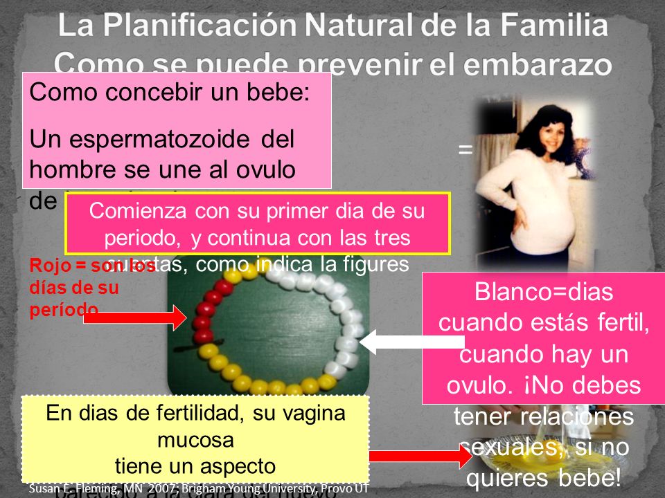 La Planificación Natural de la Familia Como se puede prevenir el embarazo