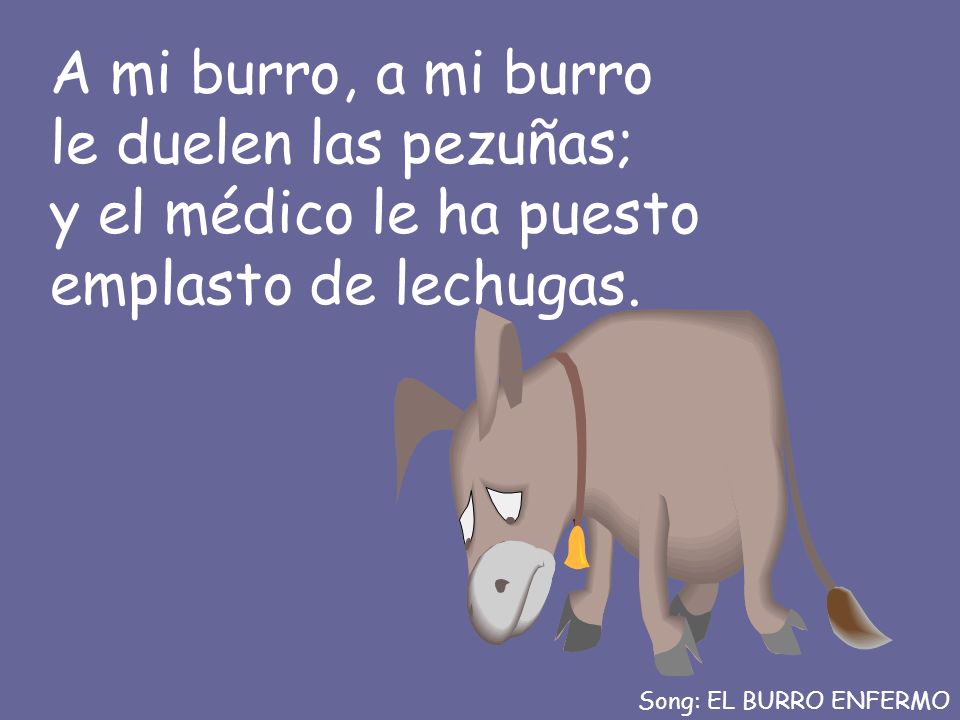 A mi burro, a mi burro le duelen las pezuñas; y el médico le ha puesto emplasto de lechugas.