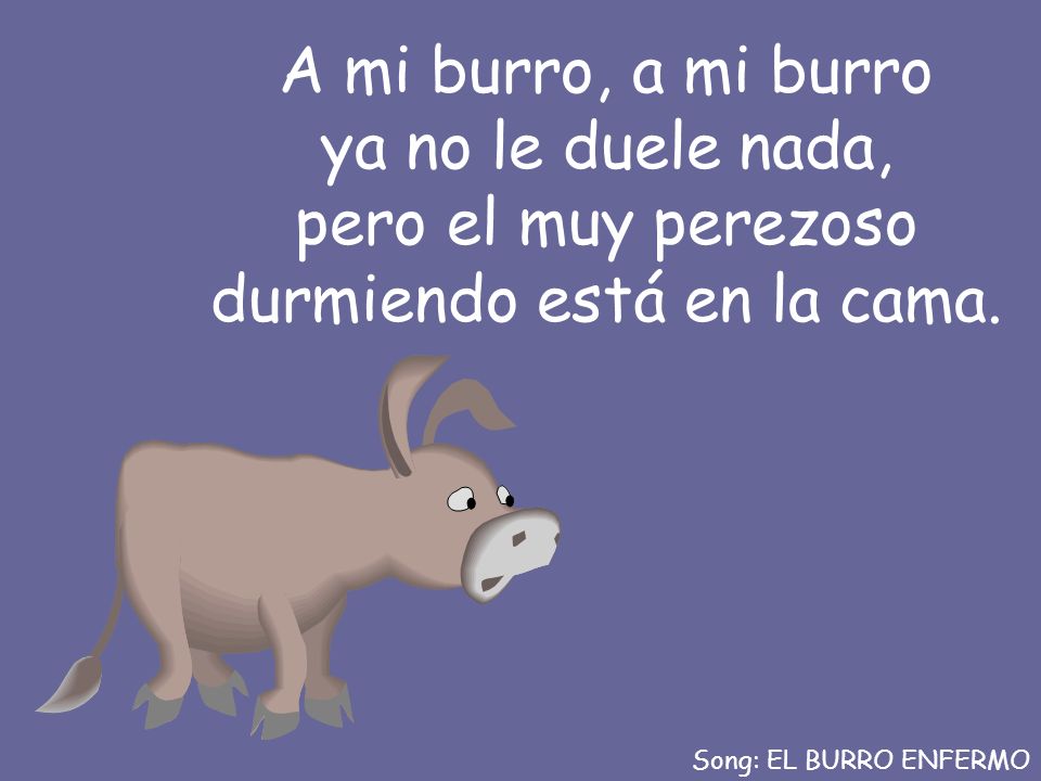 A mi burro, a mi burro ya no le duele nada, pero el muy perezoso durmiendo está en la cama.