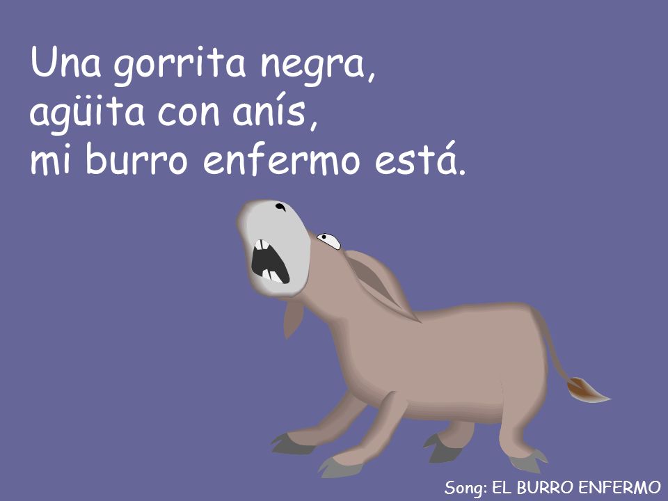 Una gorrita negra, agüita con anís, mi burro enfermo está.