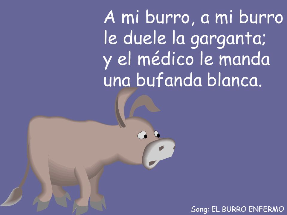 A mi burro, a mi burro le duele la garganta; y el médico le manda una bufanda blanca.