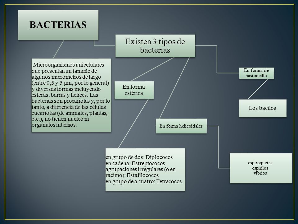 BACTERIAS Existen 3 tipos de bacterias