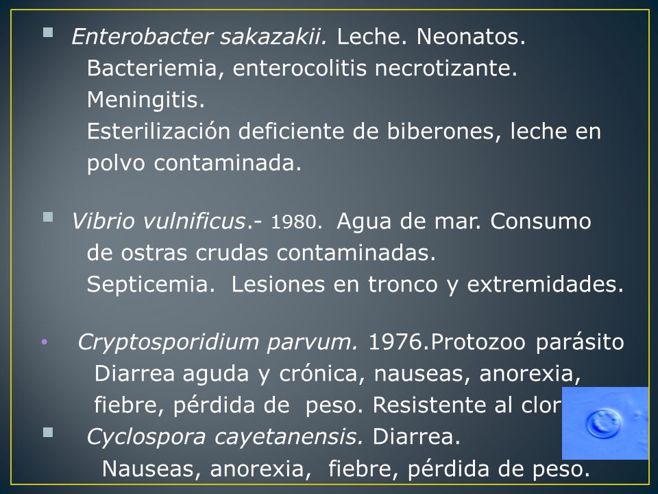 Enterobacter sakazakii. Leche. Neonatos.
