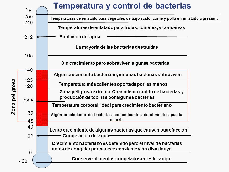 Temperatura y control de bacterias