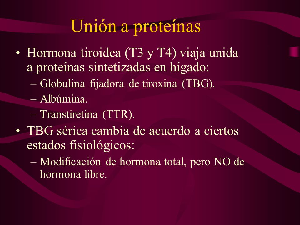 Unión a proteínas Hormona tiroidea (T3 y T4) viaja unida a proteínas sintetizadas en hígado: Globulina fijadora de tiroxina (TBG).