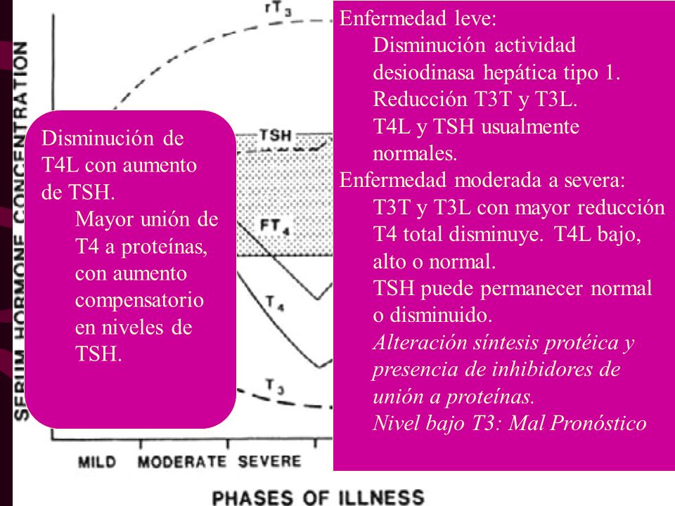 Enfermedad leve: Disminución actividad desiodinasa hepática tipo 1. Reducción T3T y T3L. T4L y TSH usualmente normales.