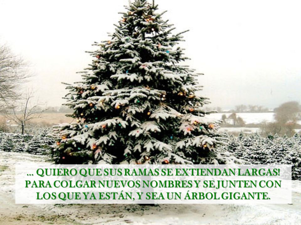… QUIERO QUE SUS RAMAS SE EXTIENDAN LARGAS!