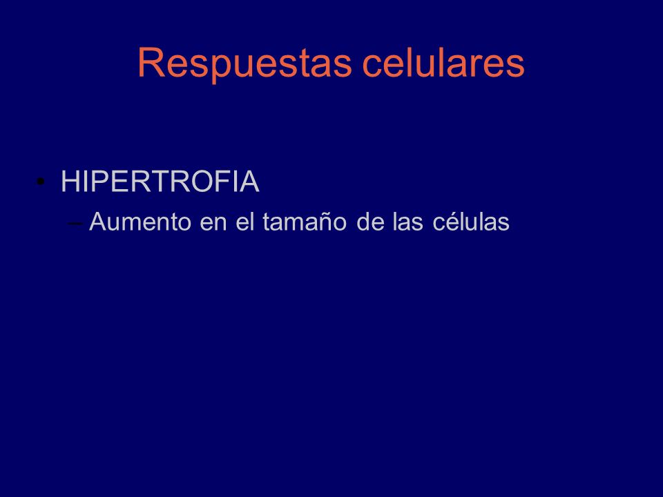 Respuestas celulares HIPERTROFIA Aumento en el tamaño de las células