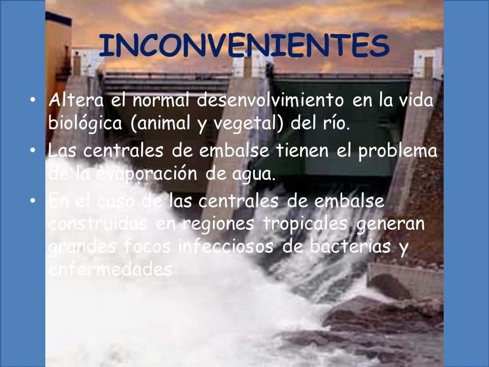 INCONVENIENTES Altera el normal desenvolvimiento en la vida biológica (animal y vegetal) del río.