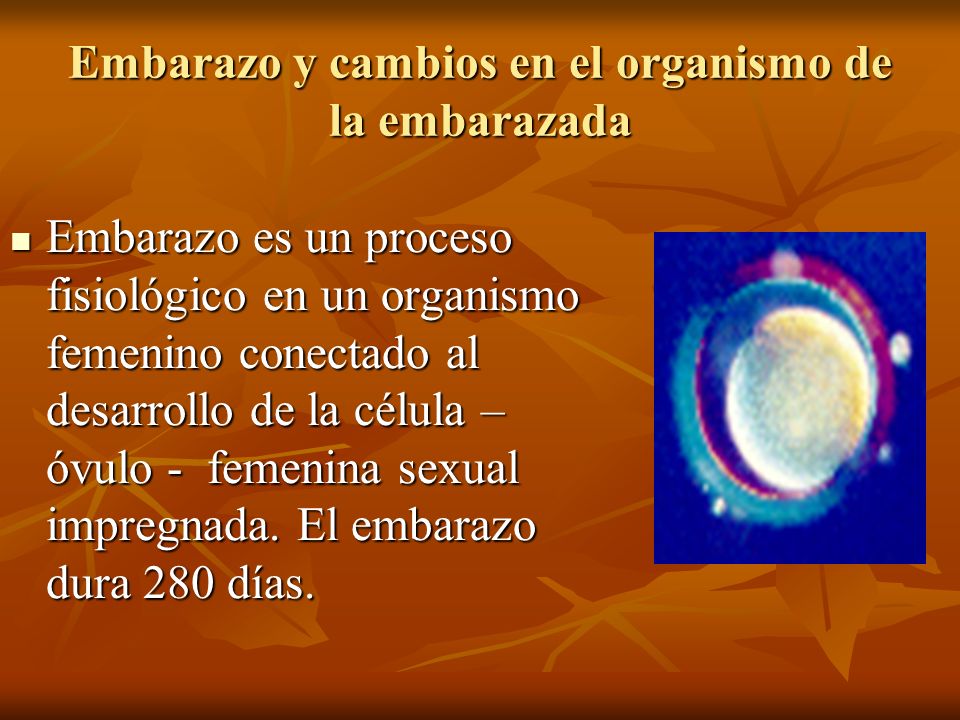 Embarazo y cambios en el organismo de la embarazada