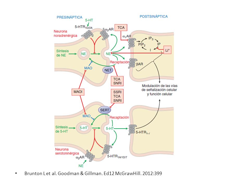 Brunton L et al. Goodman & Gillman. Ed12 McGrawHill. 2012:399