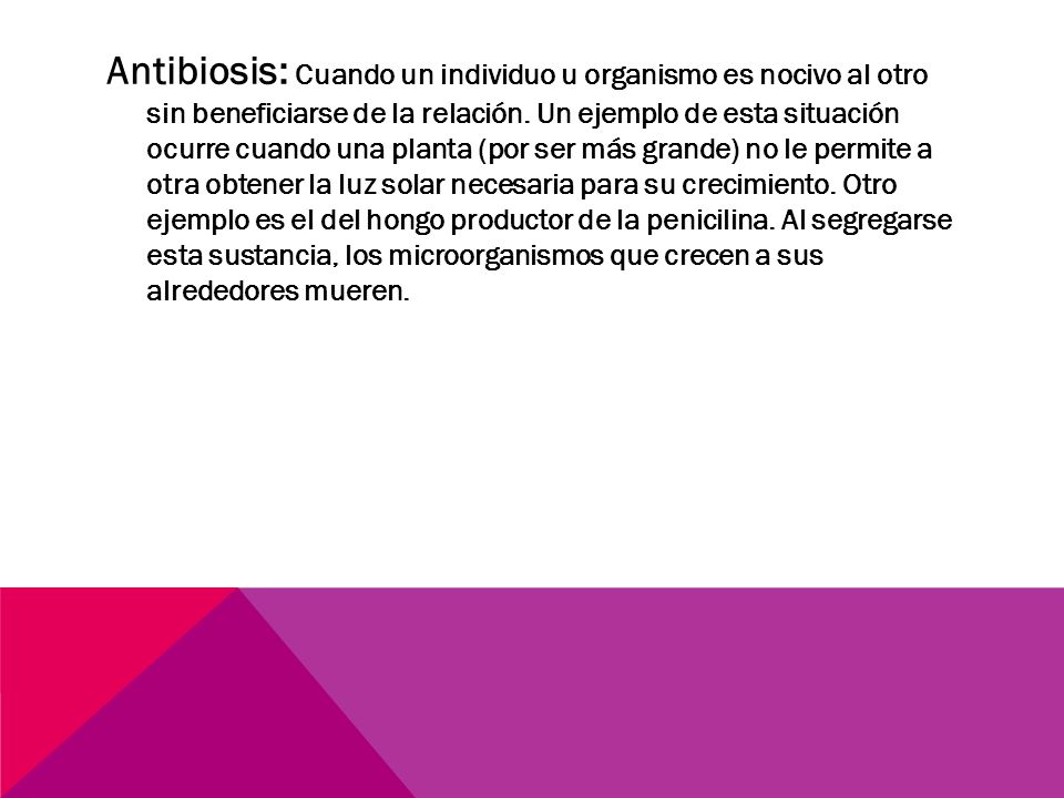 Antibiosis: Cuando un individuo u organismo es nocivo al otro sin beneficiarse de la relación.