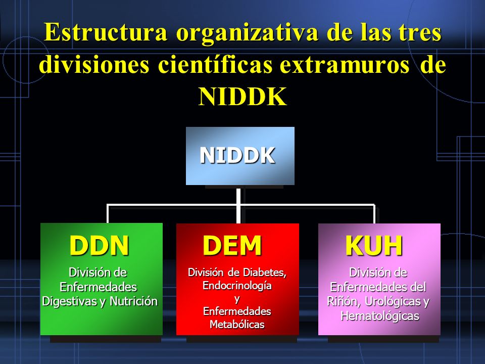 Estructura organizativa de las tres divisiones científicas extramuros de NIDDK