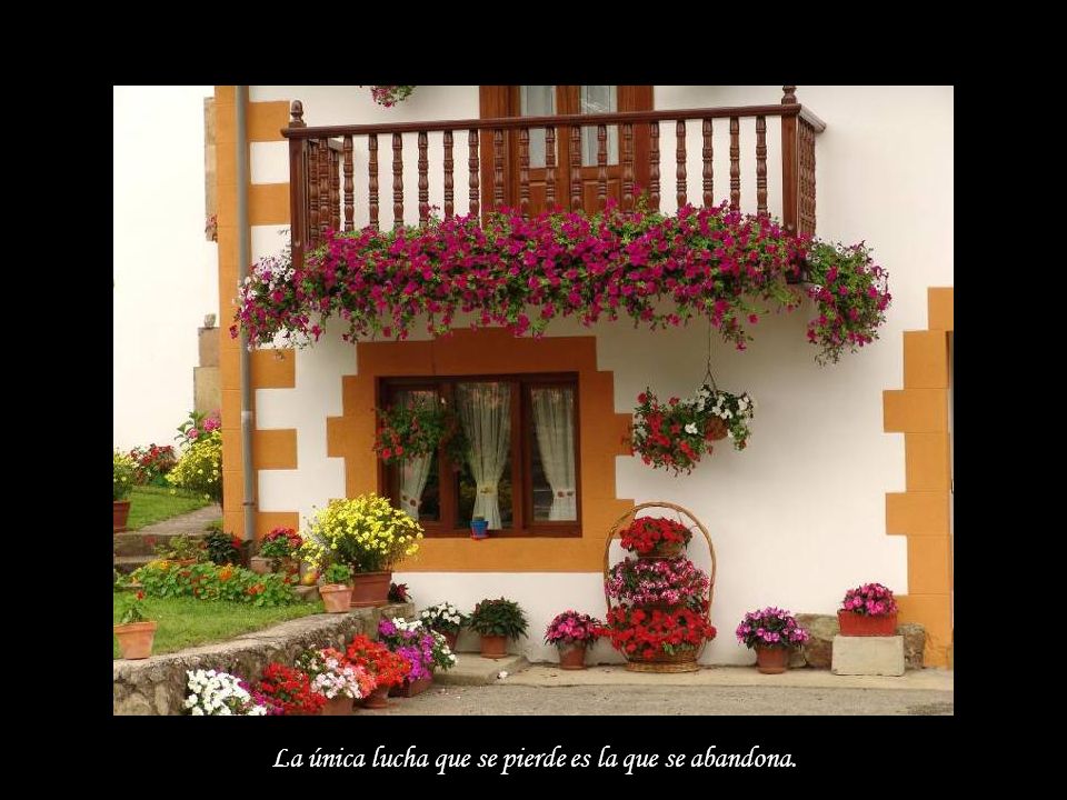 La única lucha que se pierde es la que se abandona.
