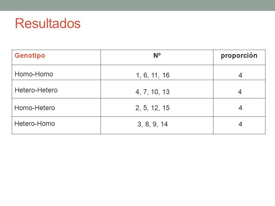 Resultados Genotipo Nº proporción Homo-Homo 1, 6, 11, 16 4