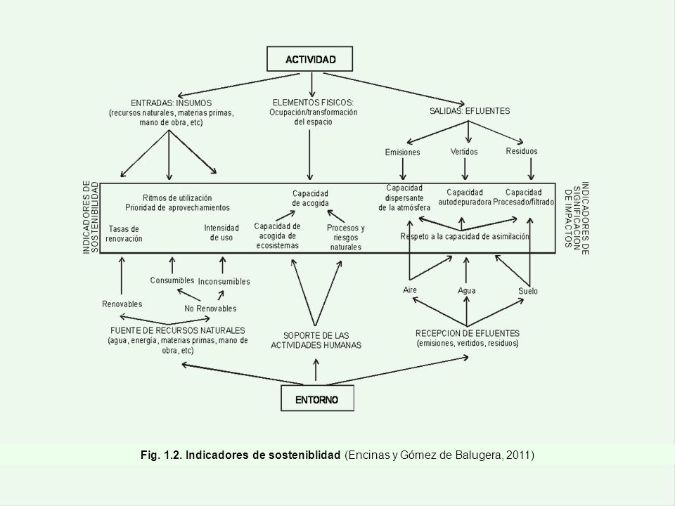 Fig Indicadores de sosteniblidad (Encinas y Gómez de Balugera, 2011)