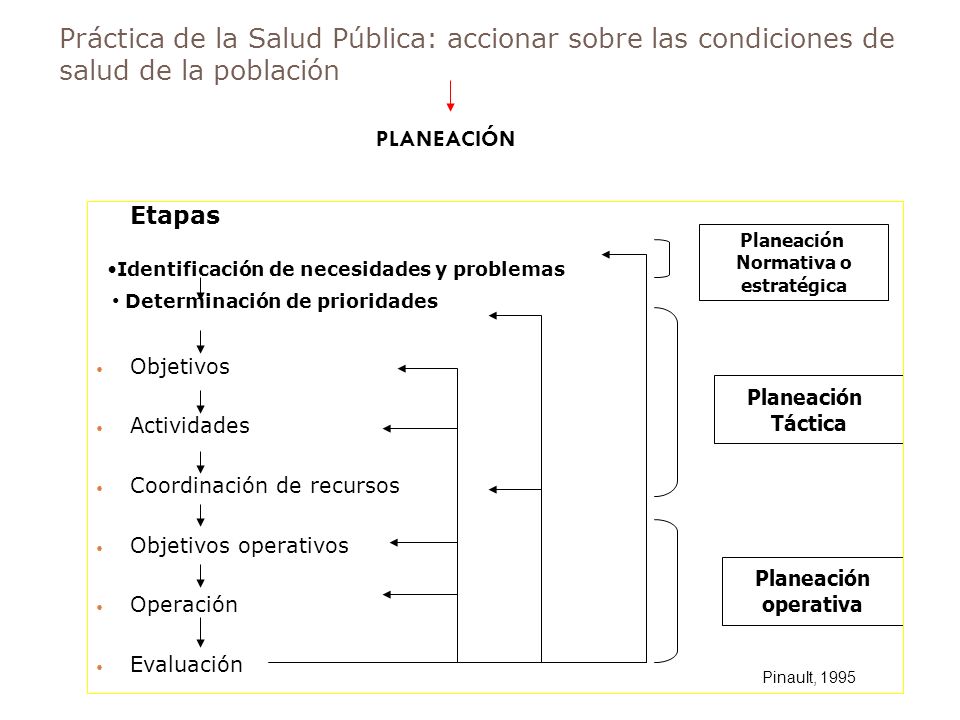 Práctica de la Salud Pública: accionar sobre las condiciones de salud de la población